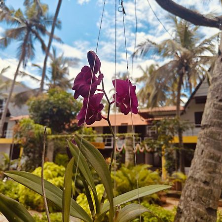 Pv Cottages - Serenity Beach Puducherry Exterior foto